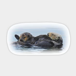 Sea Otters, Wildlife Gifts, Mama and her babe Sticker